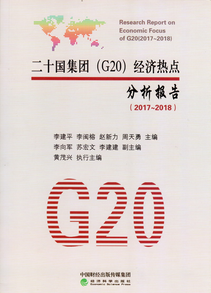 小浪逼流浪水二十国集团（G20）经济热点分析报告（2017-2018）