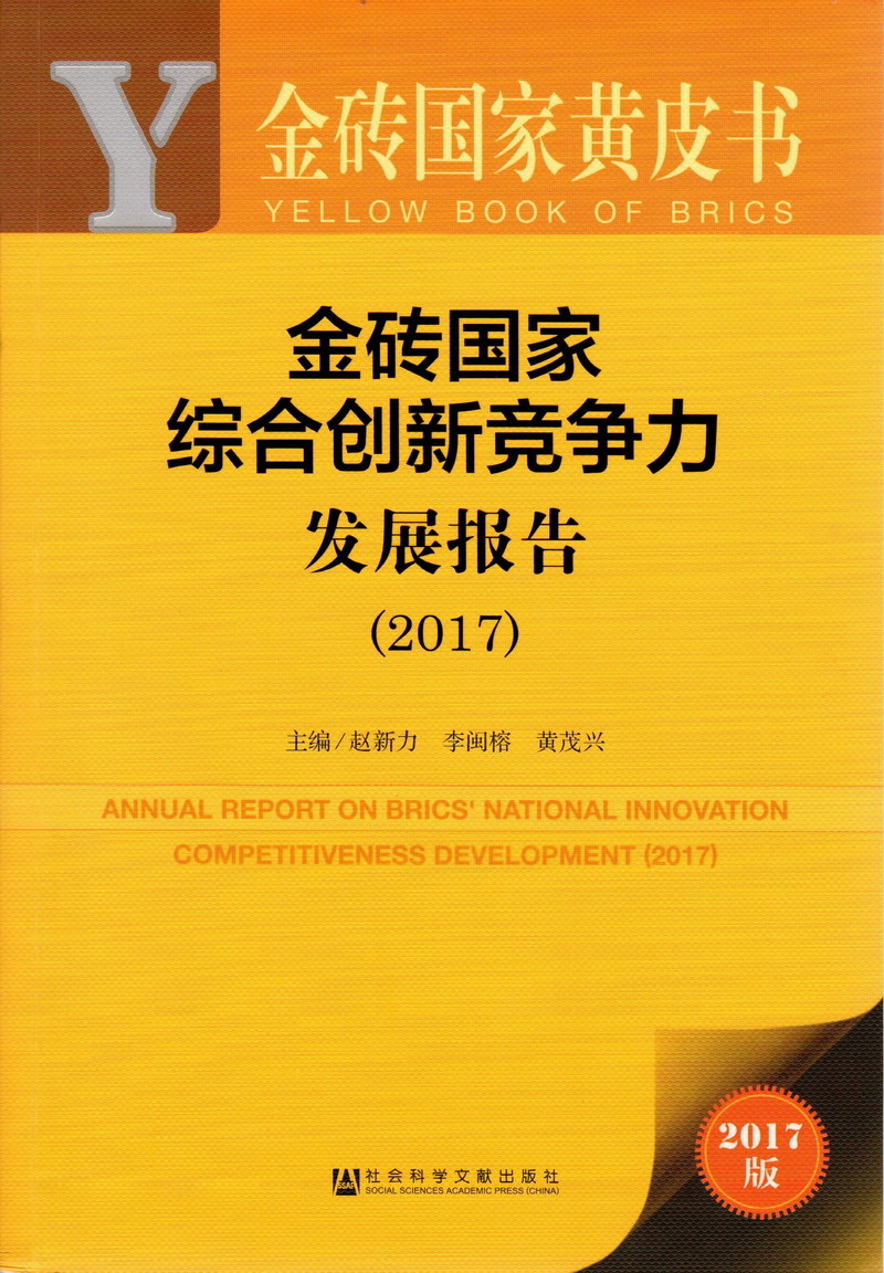 操屄在线视频网站金砖国家综合创新竞争力发展报告（2017）